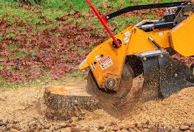 Best Firewood Processing and Delivery  in Bartonvle, IL